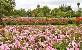 1860 the alameda, san jose, ca 95126, estados unidos. 12 Top Rated Attractions Things To Do In San Jose Ca Planetware