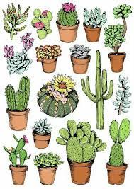 moya musorka おしゃれまとめの人気アイデア pinterest davi araujo サボテン イラスト 植物イラスト aaa イラスト