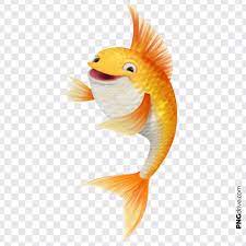 Pin By Png Drive On Gold Fish Png Fish Clipart Golden Fish Festival Design