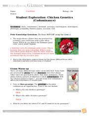 Can't find your question in our library? Chicken Genetics Codominance Doc Name Tom White Biology U2014mr Nelson Student Exploration Chicken Genetics Codominance Vocabulary Allele Codominance Course Hero