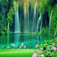 Image result for wallpaper