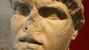 Image result for Vepris macedoi