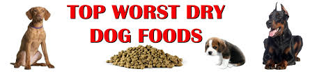 top worst dry dog food brands holistic and organix pet shoppe