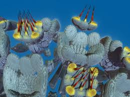 Résultat de recherche d'images pour ""Mandelbulber settings file" "only modified parameters""