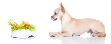 Sweet potato rawhide chews easy vegan dog treats yummy. Vegan Dog Food Recipes And Store Bought Alternatives
