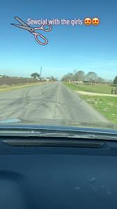 Dulcie David (@doghousequilts)