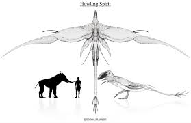 Image result for Exotheca