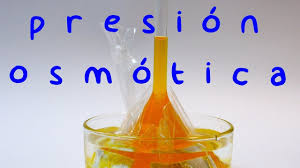 Pin En Fisica Y Quimica