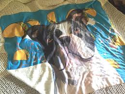 Made from 100% polyester featuring an incredibly soft sherpa fleece backside, a custom pet blanket is fantastic for snuggling on the couch, by the fireplace, or at outdoor evens! Pet Canva Blanket Review How To Try Their Custom Pet Art