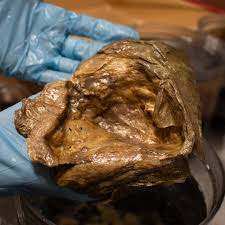 What is the Golden Blob? Mystery From the Deep Sea Revealed!