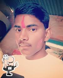 vasudha kendra Ariaon, Digital Seva