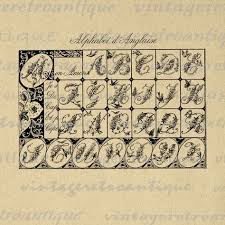 Birds Of A Feather Flock Together Meaning In Tamil Digital Alphabet Floral Fancy Letters With Birds Graphic Image Collage Sheet Printable Download Antique Clip Art Fancy Letters Bird Graphic Digital Alphabet