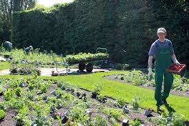 Helfen sie mit, objektive informationen wie in reiseführern anderen gästen zur verfügung zu stellen. Artenreiche Sommerblumenbeete Im Botanischen Garten Dein Gutersloh Das Digitale Heimatmagazin Fur Gutersloh
