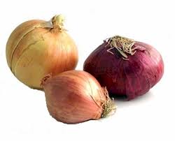 onions substitutes ingredients equivalents gourmetsleuth