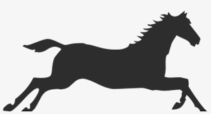 Horse Gallop Running Horse Silhouette Transparent Png 960x467 Free Download On Nicepng Running horse silhouette files included * svg * png * dxf * ai * eps once etsy receives payment they will send you a link to your download please note that these files will work with. horse gallop running horse