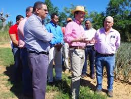 Resultado de imagen para hato mayor provincia vestimenta