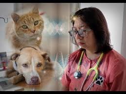 Unik Ada Dokter Yang Dapat Berbicara Dengan Hewan Youtube