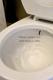 Need a quick fix for cleaning the toilet? Deep Cleaning The Toilet Clean And Scentsible