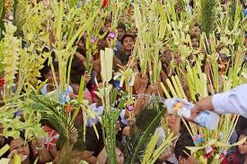 Palm sunday is the beginning of the holy week for christians around the world. 4pfxzxbh Iu Wm