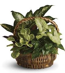 James Tolbert Obituary (2021)