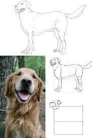 Comment Dessiner Un Chien Comment Dessiner Un Chien Dessin Chien Facile Dessin Chien