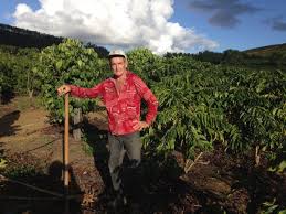 Jediné, co nyní potřebuje k poslechu rádií, je náš přehrávač. Prejuizo Doenca Se Espalha Em Plantacoes De Cafe Conilon Em Rio Bananal Site De Linhares