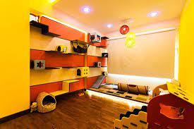 Beautiful Cat Friendly Home In Singapore From J En C Rand Designs Hauspanther Cat Room Cat Friendly Home Design
