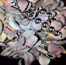 To dry your hydrangeas, cut blooms that are already beginning to dry on the plant and not a fresh bloom. Hydrangeas Dried Hydrangea Flowers Blue Violet Bouquet Silver Chain Color Sound Autumn Decoration Nostalgic Pikist
