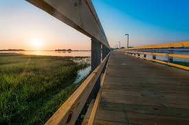 UNCW Center for Marine Science