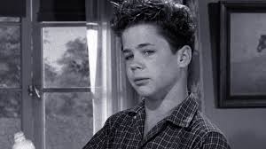 Watch Leave It to Beaver (1957) Online for Free