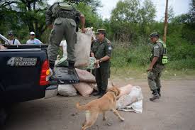 Resultado de imagen para policia arresta a narcotraficantes en argentina