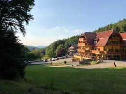 Gastgeber Mit Herz In 2020 Schwimmbader Wald Hotel Hotel