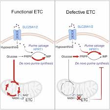 Image result for Reaction Instruments 685A