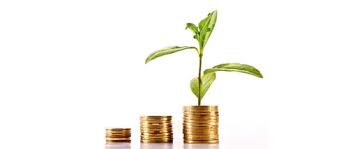 Capital semilla capital de riesgo financiación empresa de inicio inversión, negocios, ahorro, empresa, gente png. Ips Capital Semilla