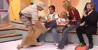 Lion Tries To Eat A Baby On Live Tv And Her Mother Just Laughs Elite Readers
