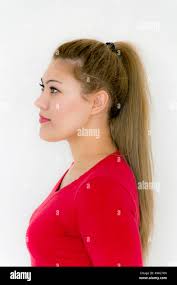 Coda di cavallo acconciatura. Bellezza Moda ragazza modello con un lungo  rettilineo sana capelli castani. Bella Donna marrone con lunghi lisci sani  i capelli dritti Foto stock