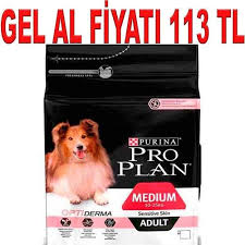 proplan somonlu yetiskin kopek mamasi 3 kg amazon pet center kopek amazonlar urunler