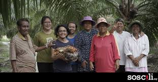 Perkembangan industri kelapa sawit indonesia yang menakjubkan selama 20 tahun terakhir tidak terlepas dari peran bahan tanaman di dalamnya. Berladang Sawit Boleh Dapat Rm10k Sebulan Lagi Baik Daripada Makan Gaji Soscili