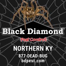 The company is in its third generation of family ownership and operation and maintains a workforce of over 130 technicians and office staff out of its headquarters in jeffersonville. Black Diamond Pest Control Home Facebook