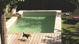 Petite Piscine Pour Petit Jardin Cote Maison
