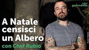 Costantino della gherardesca e chef rubio sono pronti a passare un intero weekend di dure prove per conoscere i due lati della. Campana Para Pnat Stefano Mancuso De Chef Rubio A Natale Censisci Un Albero Con Chef Rubio