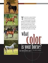 See who is a fan of pulleine's chestnut arabian. What Color Is Your Horse Part 1 By Arabian Horse World Issuu