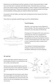 Ebook format the ebooks are available in pdf as well as for sale at amazon and itunes. Bonsai A Beginners Guide Pdf Download Induced Info