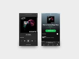 Carmouflage Rose Late Nights Spotify Mockup 2 Spotify Late Nights Night