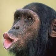  Jelek Jeelek02 Profil Pinterest