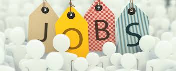 Image result for job images