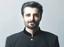 Hamza Ali Abbasi