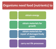 nutrition in plants or nutrients in plants for class 7 cbse