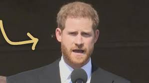 Watch Meghan Markle Giggle as Prince Harry Is Attacked by a Bee at First  Official Engagement