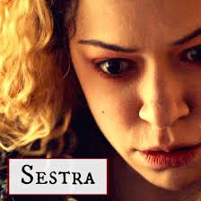 If you have questions feel free to get in touch with our team. 8tracks Radio Sestra 12 Songs Free And Music Playlist